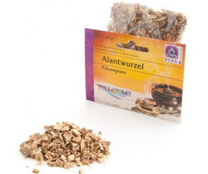 Alantwurzel (Inula helenium)