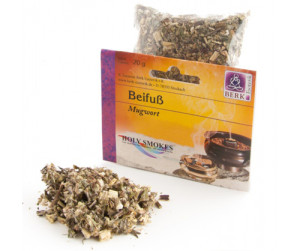 Beifuss (Artemisia vulgaris)